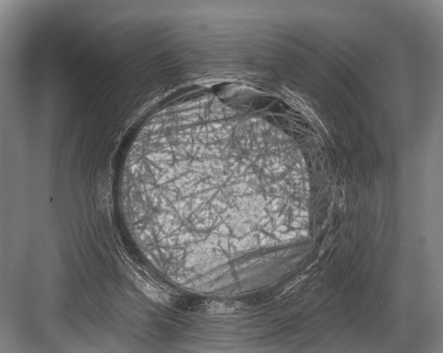 X0000082730346200702161913