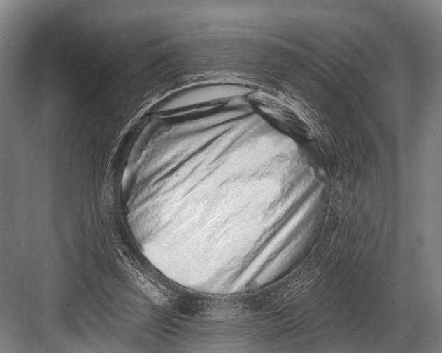 X0000082730347200702161913