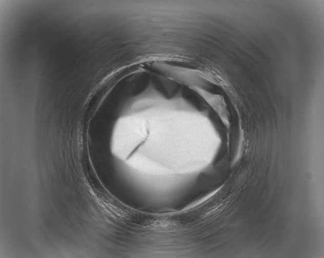 X0000082730348200702161913