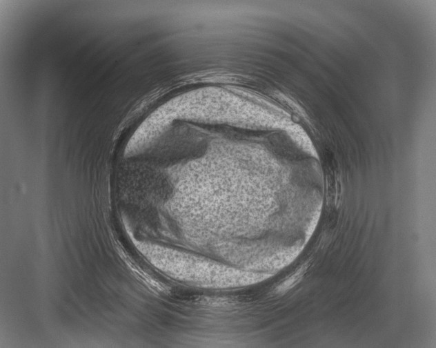 X0000082730349200702161913