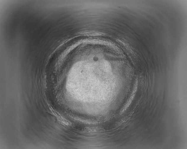 X0000082730351200702161913