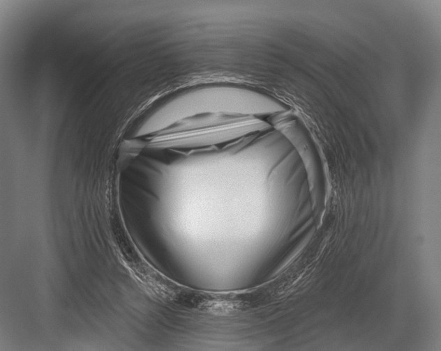 X0000082730352200702161913