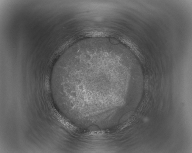 X0000082730353200702161913