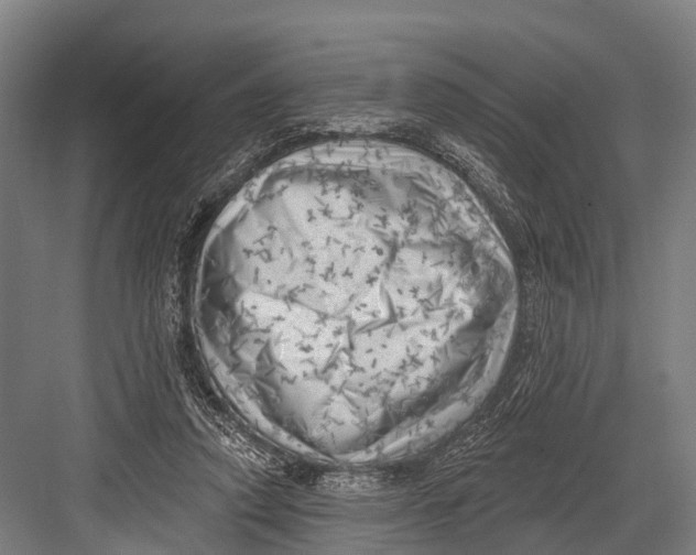 X0000082730354200702161913