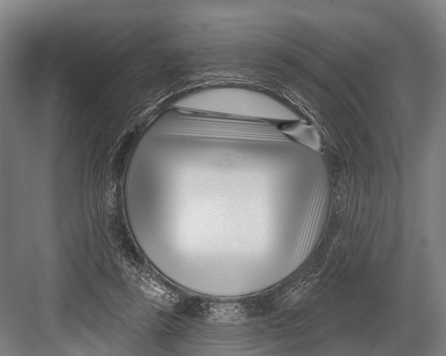 X0000082730355200702161913