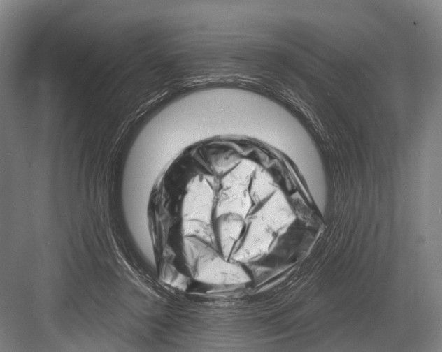 X0000082730356200702161913