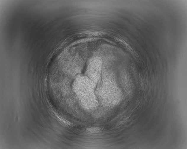 X0000082730357200702161913