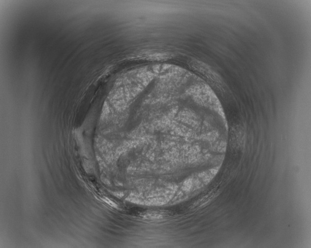 X0000082730358200702161913