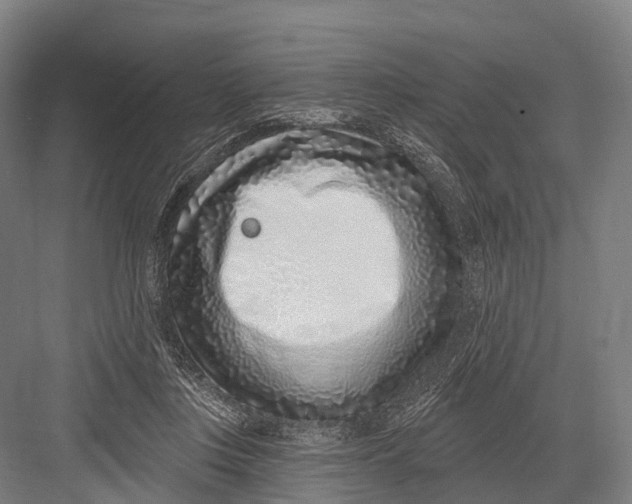 X0000082730359200702161913