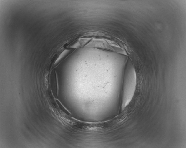 X0000082730360200702161913