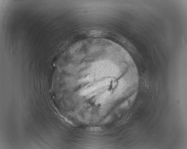 X0000082730361200702161913