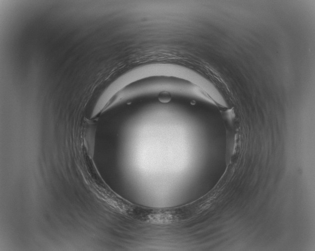 X0000082730362200702161913