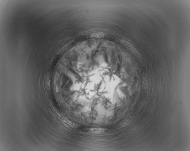 X0000082730363200702161913