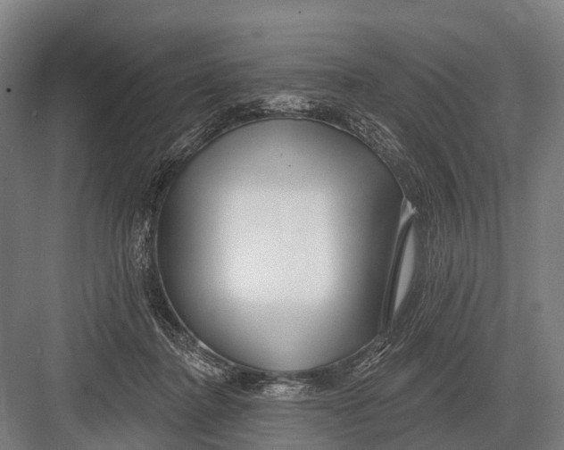 X0000082730364200702161913