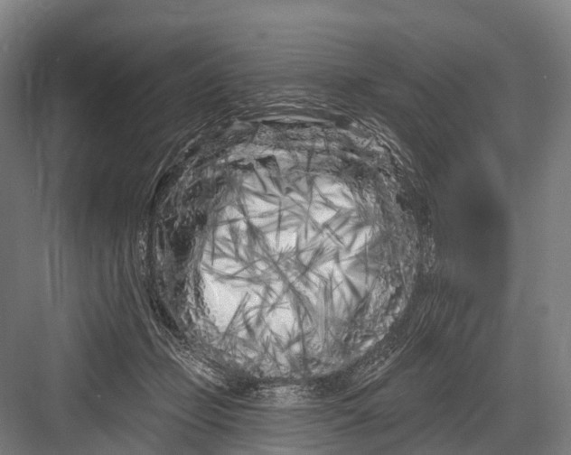 X0000082730365200702161913