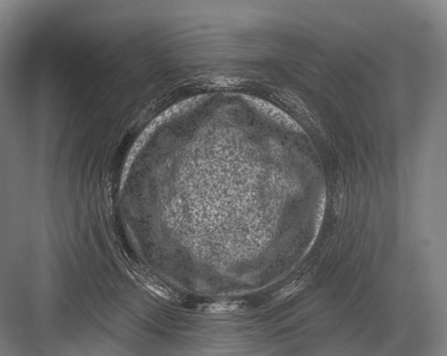 X0000082730366200702161913