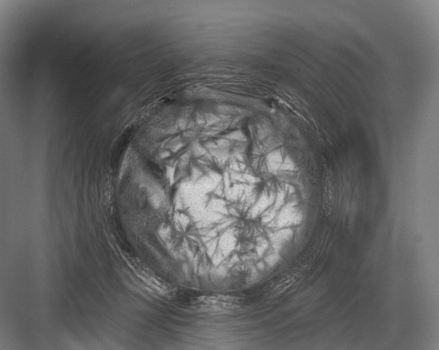 X0000082730367200702161913