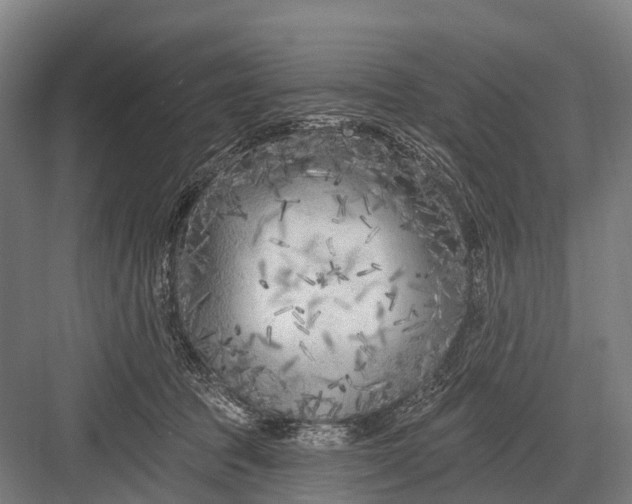 X0000082730369200702161913