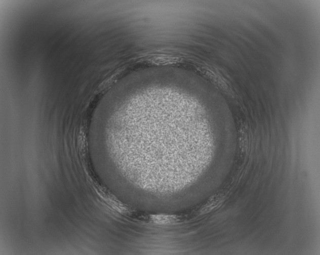 X0000082730371200702161913