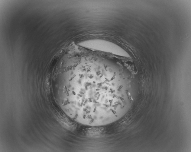 X0000082730373200702161913