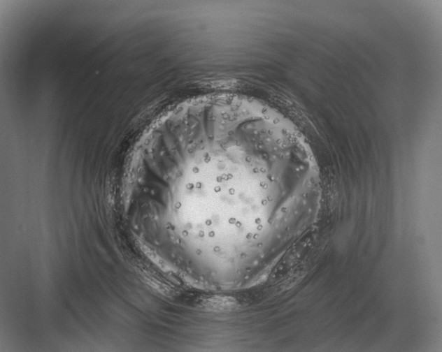 X0000082730374200702161913