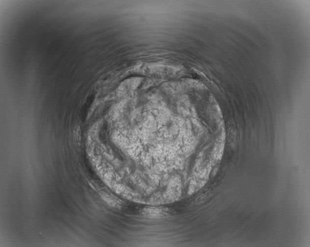 X0000082730375200702161913