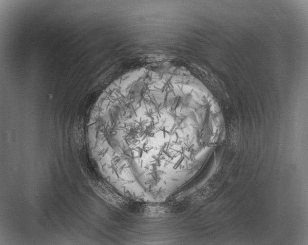 X0000082730376200702161913