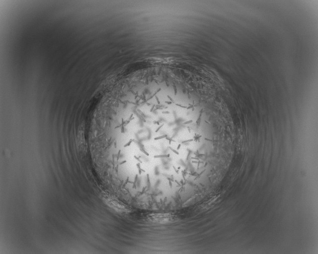 X0000082730377200702161913