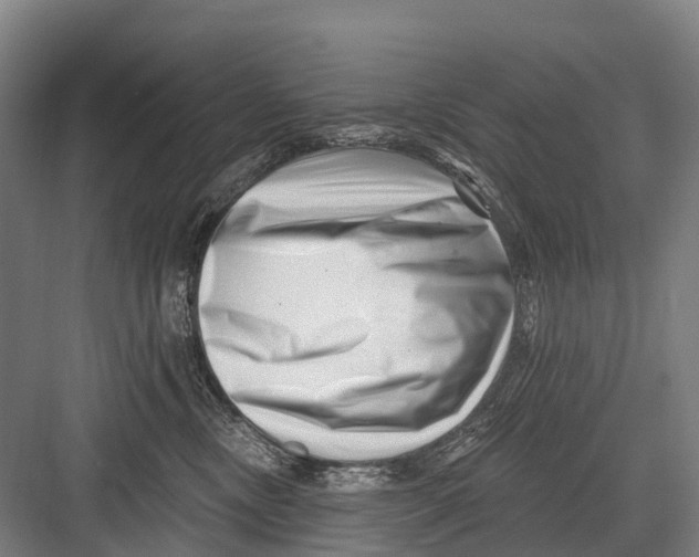 X0000082730378200702161913