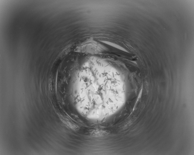 X0000082730379200702161913