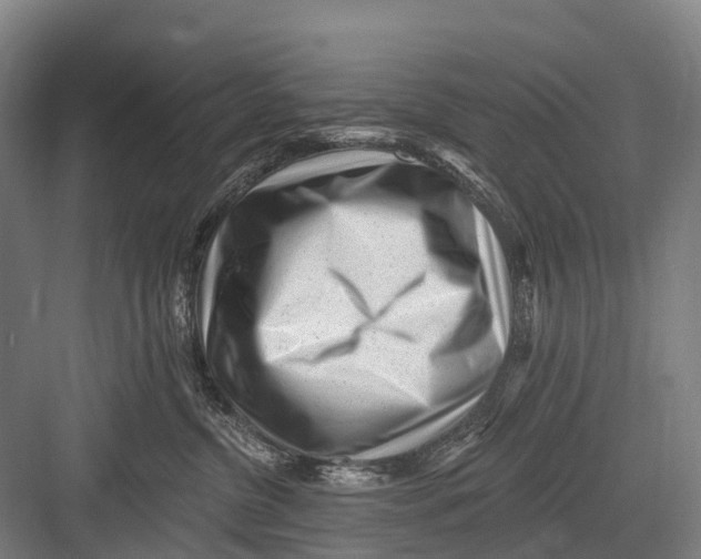 X0000082730380200702161913