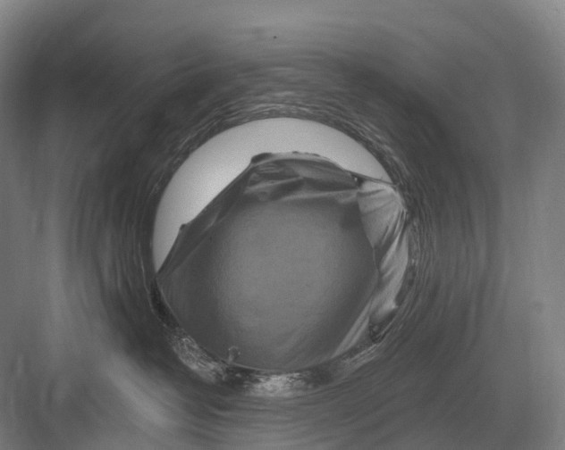 X0000082730382200702161913