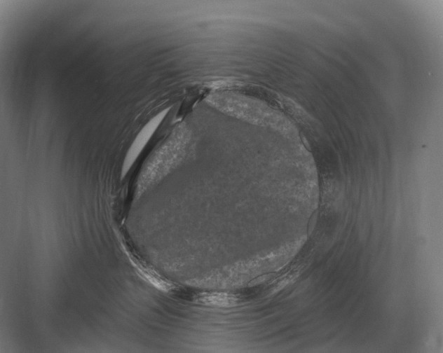 X0000082730383200702161913