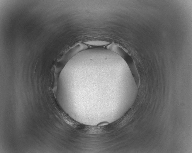 X0000082730384200702161913