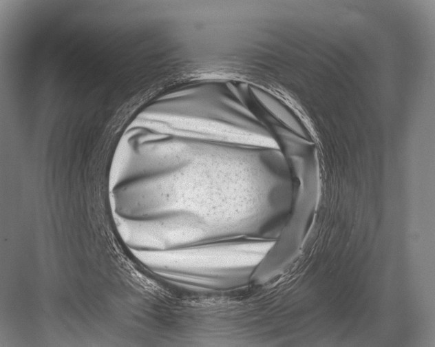 X0000082730385200702161913