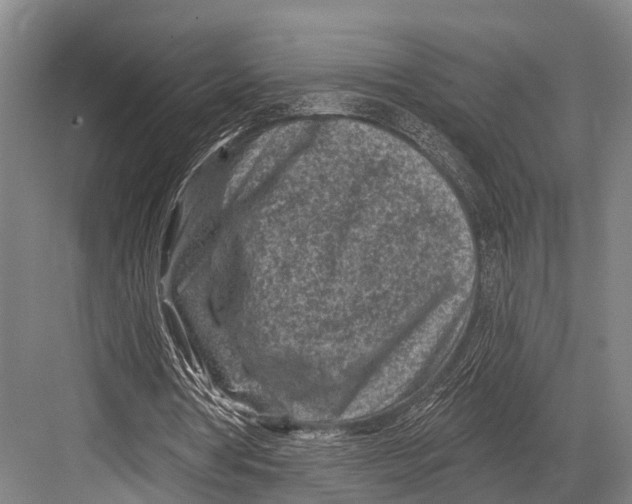 X0000082730386200702161913