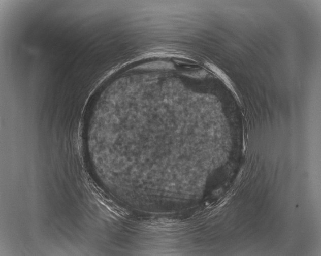 X0000082730387200702161913