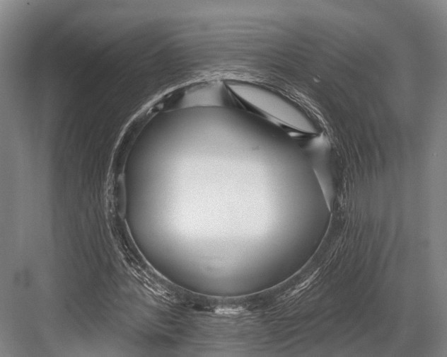 X0000082730388200702161913