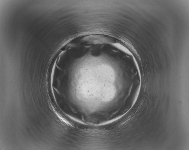 X0000082730389200702161913