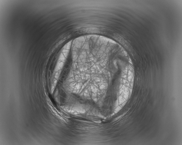 X0000082730390200702161913