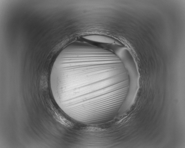 X0000082730393200702161913