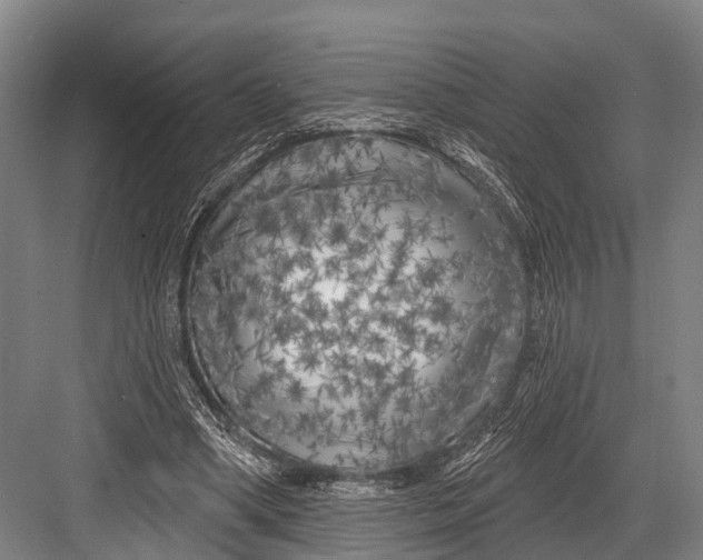 X0000082730394200702161913