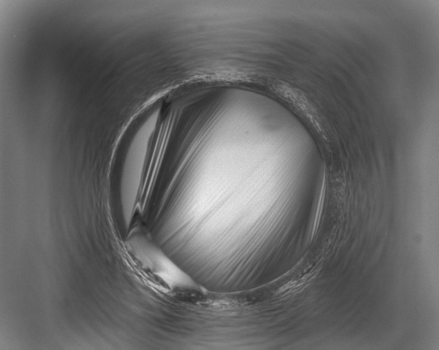 X0000082730395200702161912