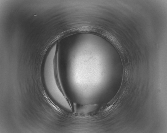 X0000082730397200702161912