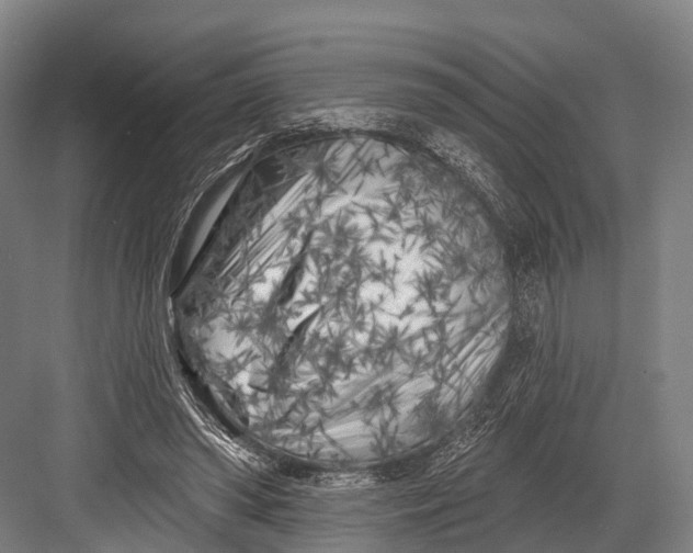 X0000082730398200702161912