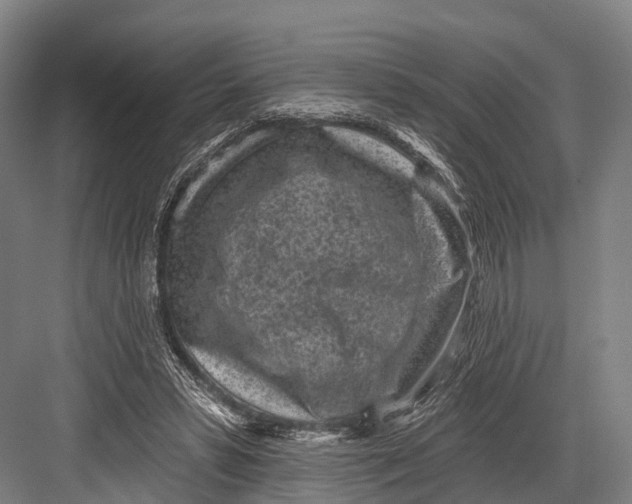 X0000082730399200702161912