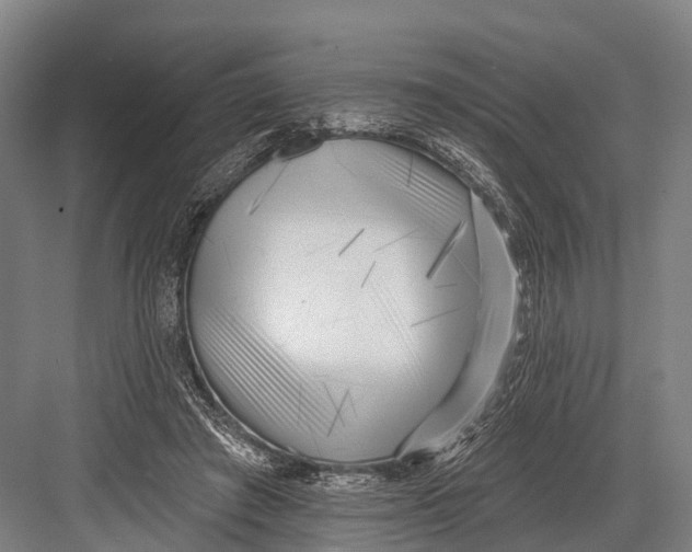 X0000082730401200702161912