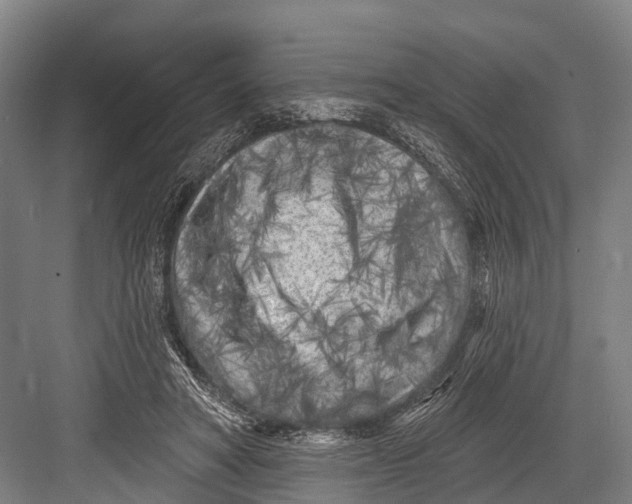 X0000082730402200702161912