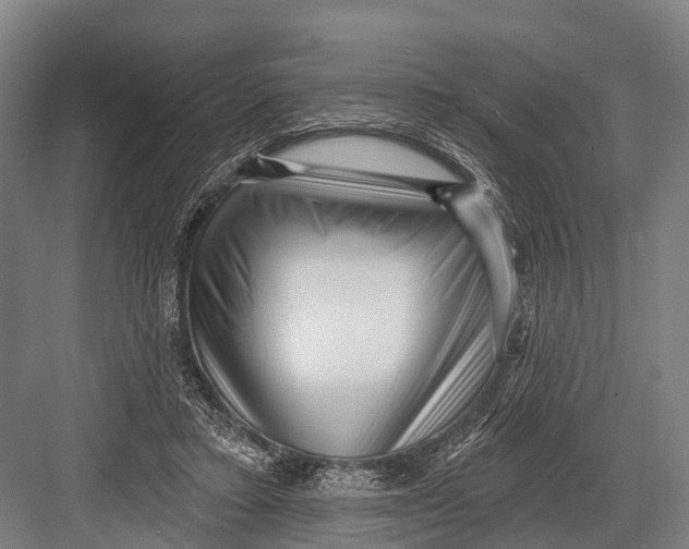 X0000082730403200702161912