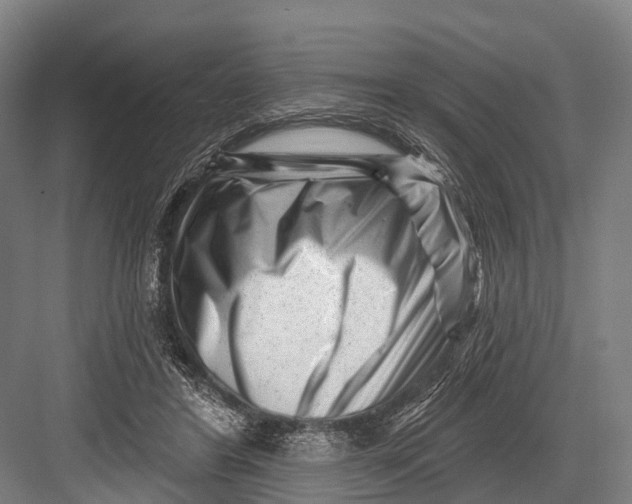 X0000082730404200702161912